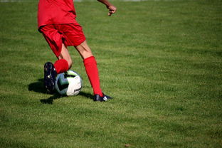 开云体育网站-俱乐部青训体系与职业联赛脱节，俱乐部青训有工资吗