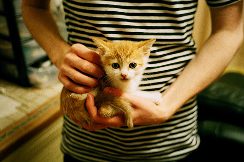 法甲大牌球员的商业开发，法甲老板资产排行